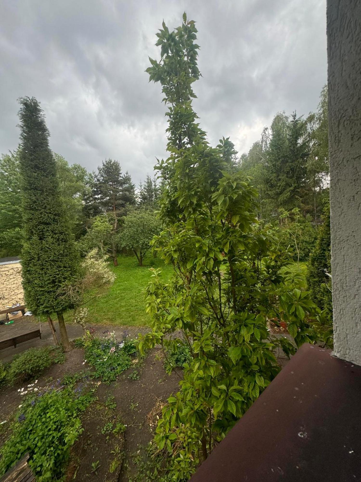 Zielony Zakatek Piechowice  Zimmer foto